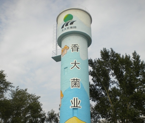 北京水塔美化